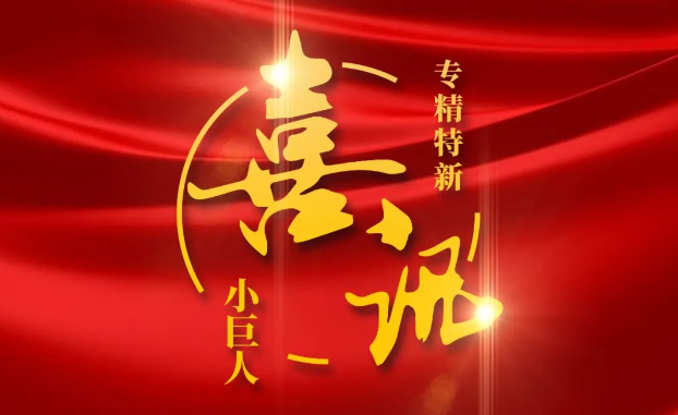 喜讯 | 捷报频传！尊龙凯时医疗获评国家级专精特新“小巨人”企业公示